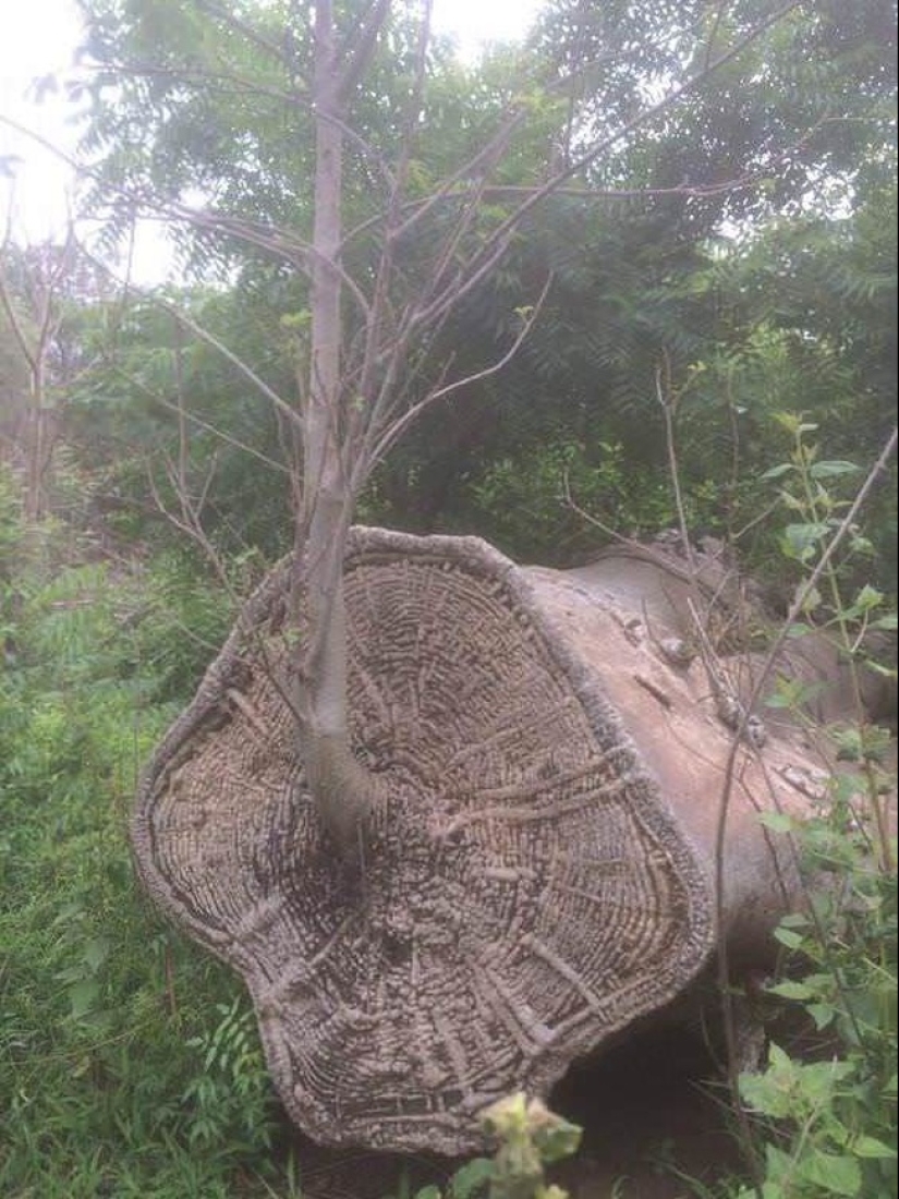 20 photos of unique things that most people will never see 20 photos of unique things that most people will never see