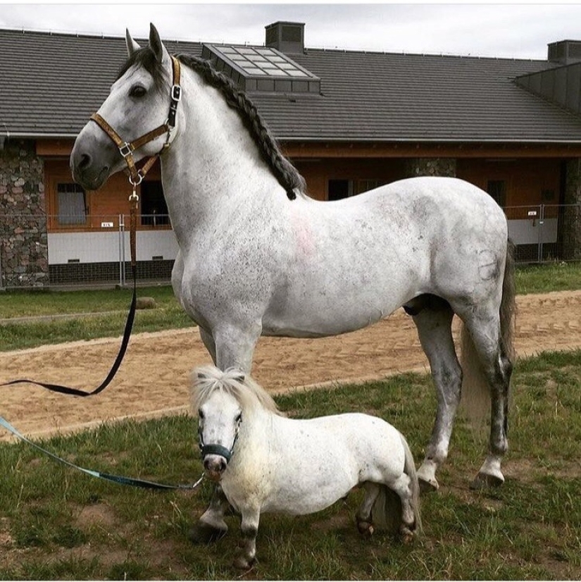 20 photos of unique things that most people will never see 20 photos of unique things that most people will never see