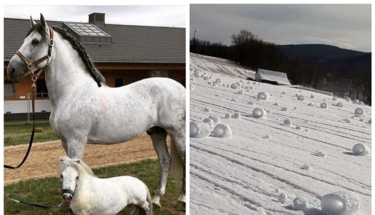 20 photos of unique things that most people will never see 20 photos of unique things that most people will never see