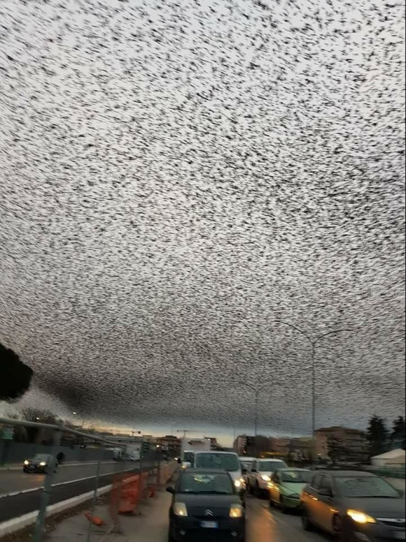 20 photos of unique things that most people will never see 20 photos of unique things that most people will never see