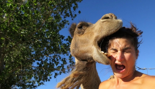 20 photos taken a second before the inevitable 20 photos taken a second before the inevitable