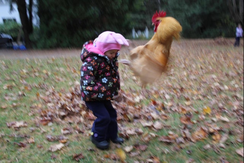 20 photos taken at the perfect moment 20 photos taken at the perfect moment