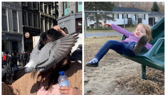 20 photos taken at the perfect moment 20 photos taken at the perfect moment