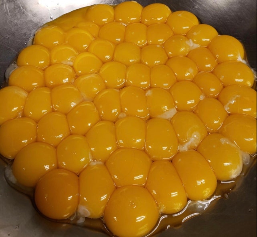 20 photos that depict something completely different from what it seems at first glance