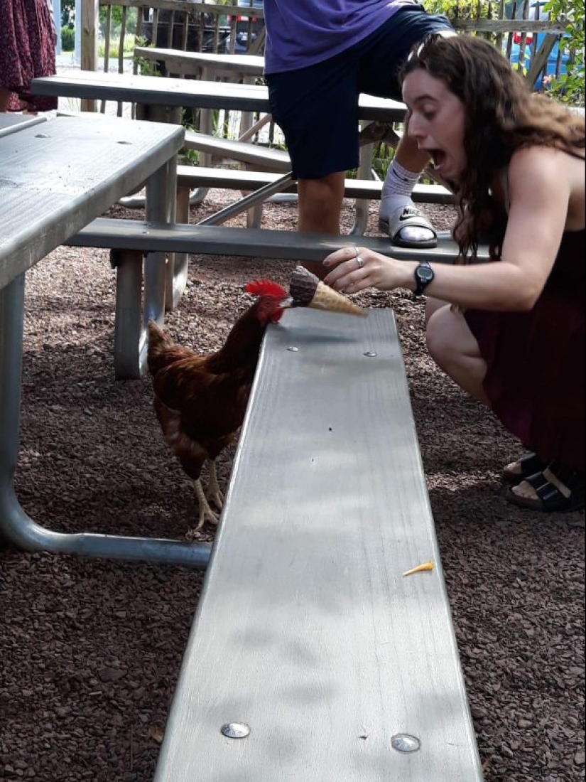 20 photos that were made at the right time