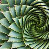 20 photos that will delight true perfectionists 20 photos that will delight true perfectionists