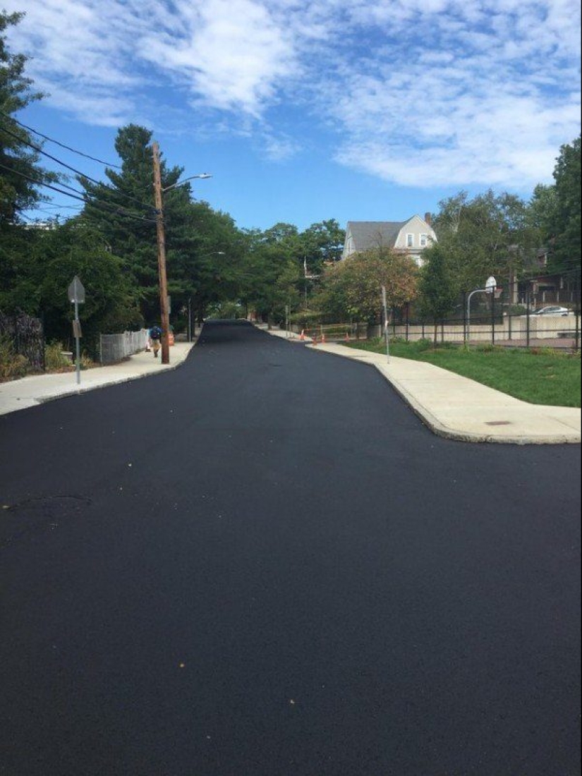 20 photos that will delight true perfectionists