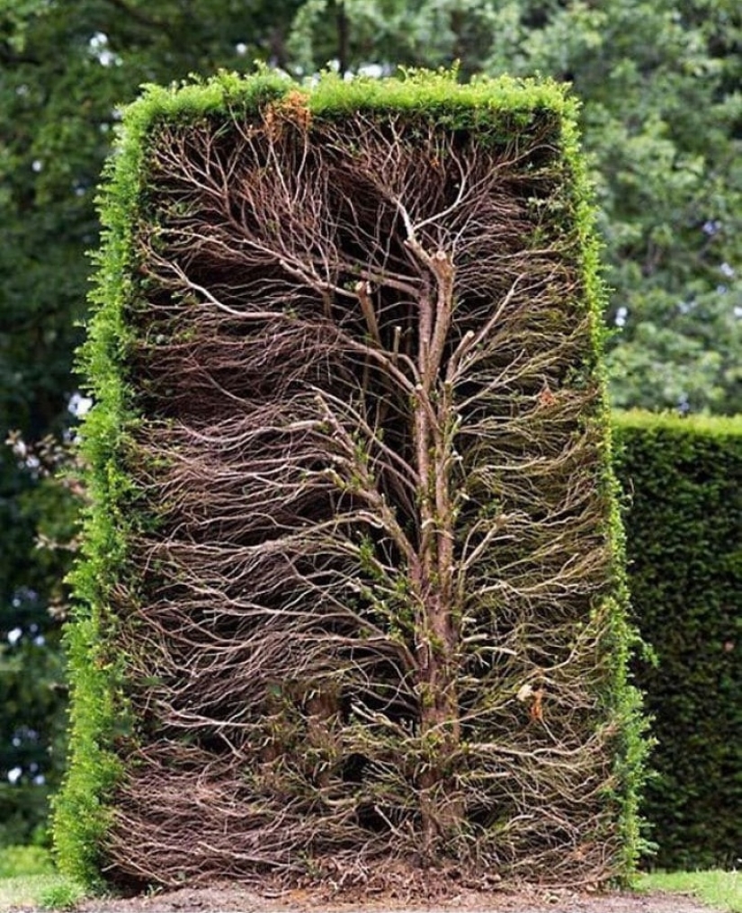 20 pictures of interesting things that you rarely see and if you are very lucky