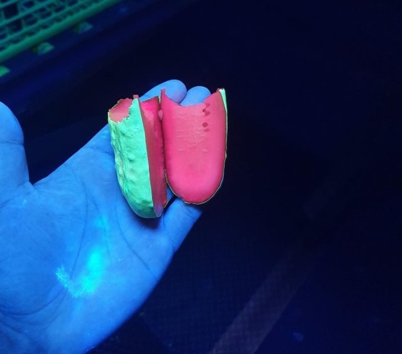 20 pictures of interesting things that you rarely see and if you are very lucky