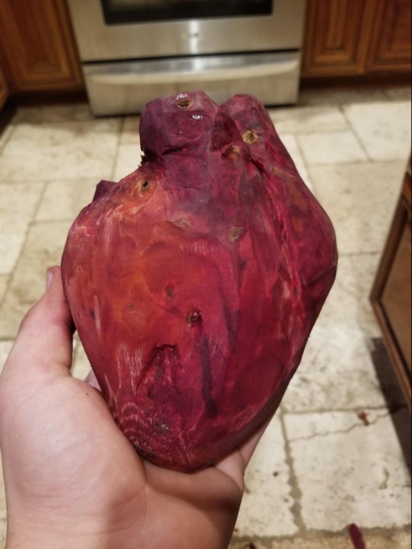 20 pictures of interesting things that you rarely see and if you are very lucky
