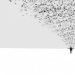20 pictures with nothing superfluous on them 20 pictures with nothing superfluous on them