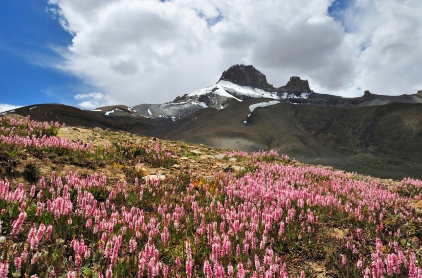 20 places where color rules the world