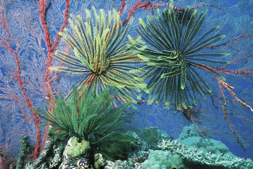 20 places where color rules the world
