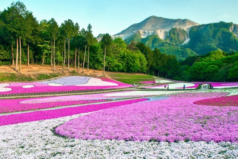 20 places where color rules the world