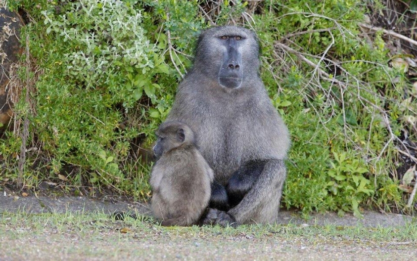 20 places where rare animals are found