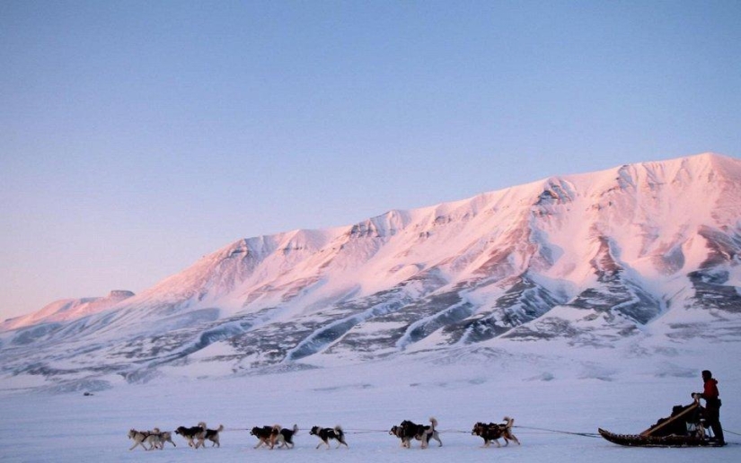 20 places where rare animals are found