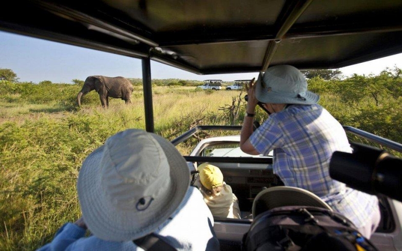 20 places where rare animals are found