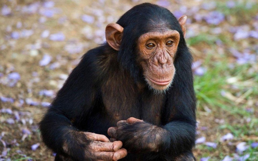 20 places where rare animals are found