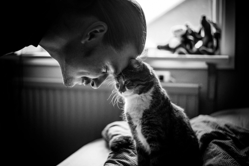 20 portraits that you can't take your eyes off