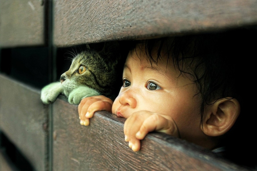 20 portraits that you can't take your eyes off