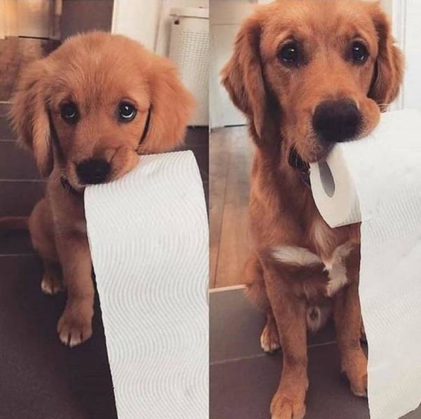 20 proof that some things never change