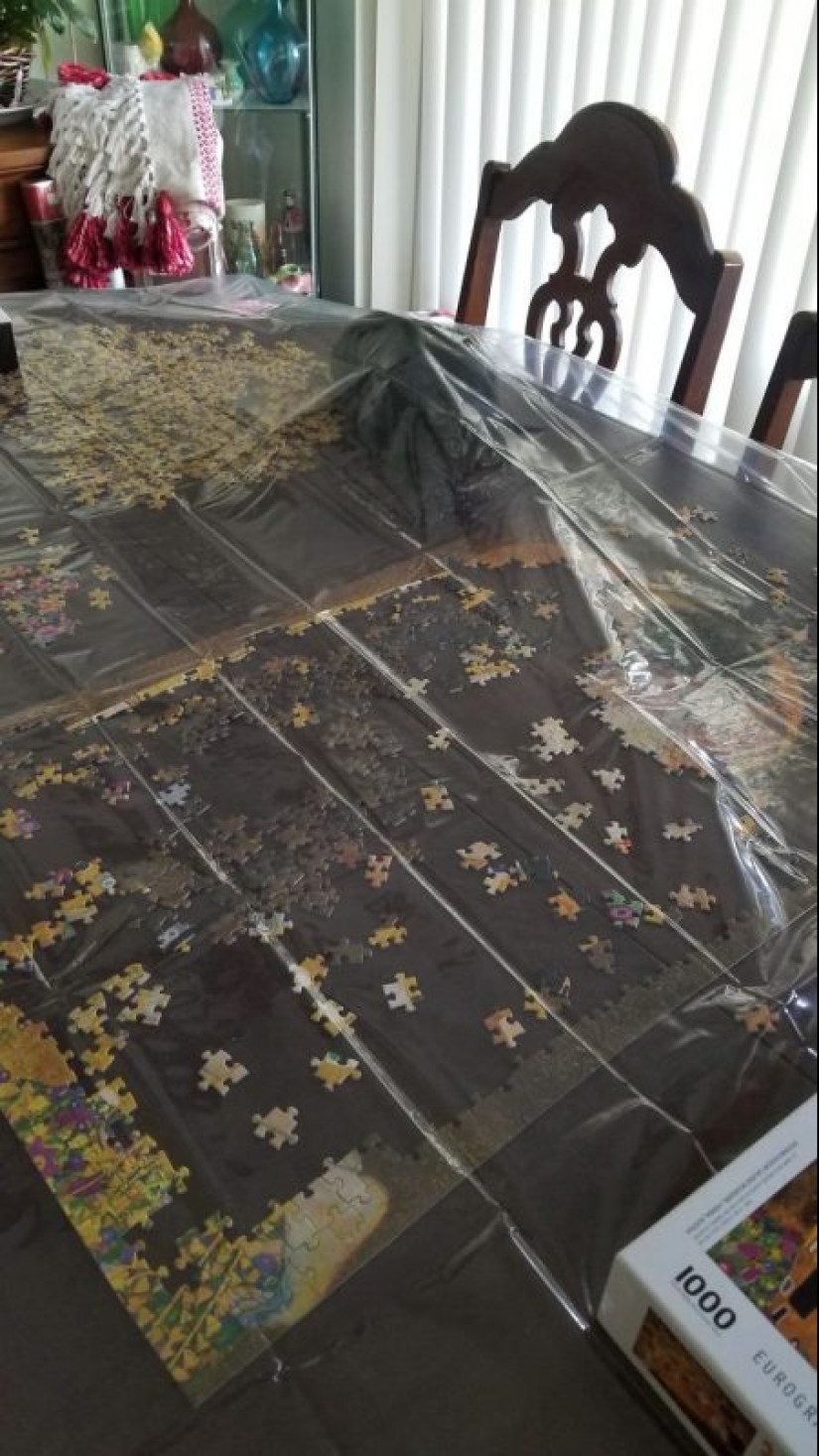 20 proofs that cats and puzzles are incompatible