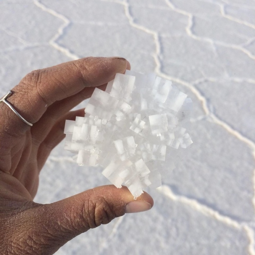 20 proofs that our world is full of unexpected discoveries