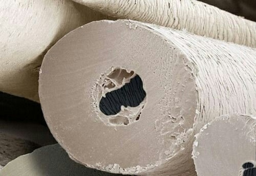 20 proofs that our world is full of unexpected discoveries