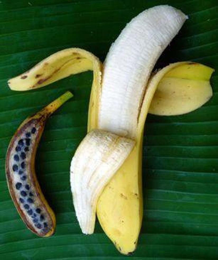 20 proofs that our world is full of unexpected discoveries