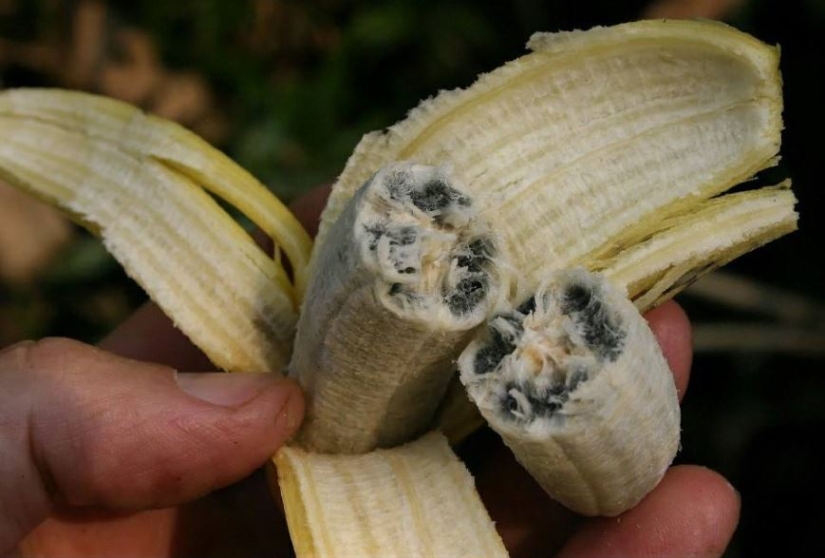 20 proofs that our world is full of unexpected discoveries