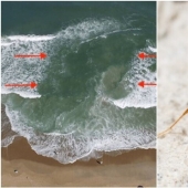 20 señales de la naturaleza que nos advierten del peligro