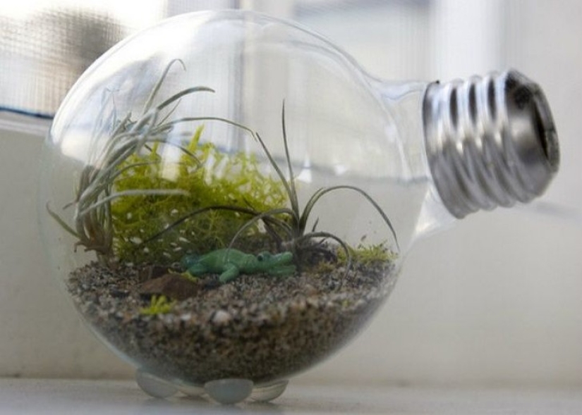 20 small gardens that fit in the palm of your hand
