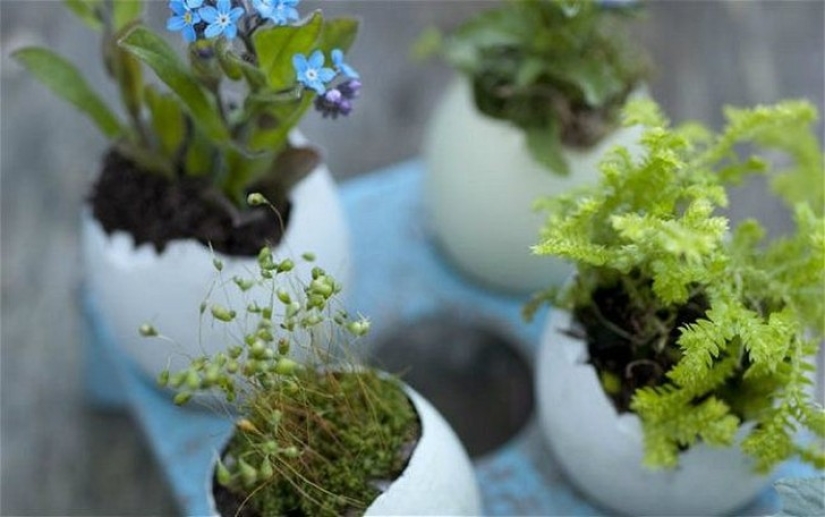 20 small gardens that fit in the palm of your hand