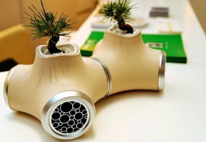 20 small gardens that fit in the palm of your hand