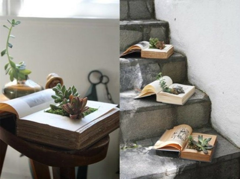 20 small gardens that fit in the palm of your hand