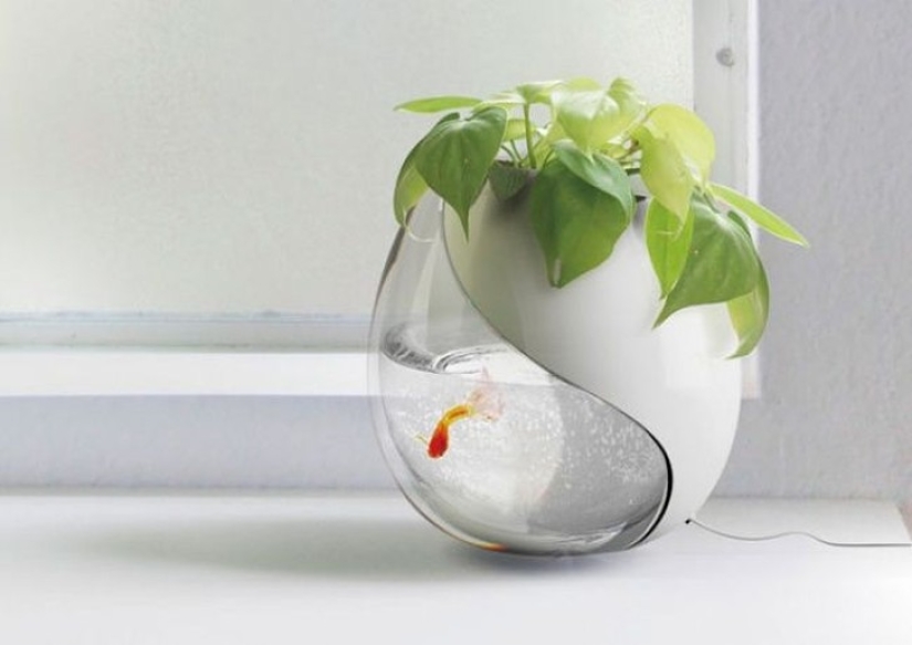 20 small gardens that fit in the palm of your hand