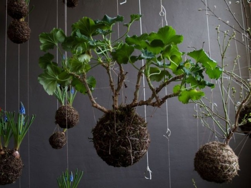 20 small gardens that fit in the palm of your hand
