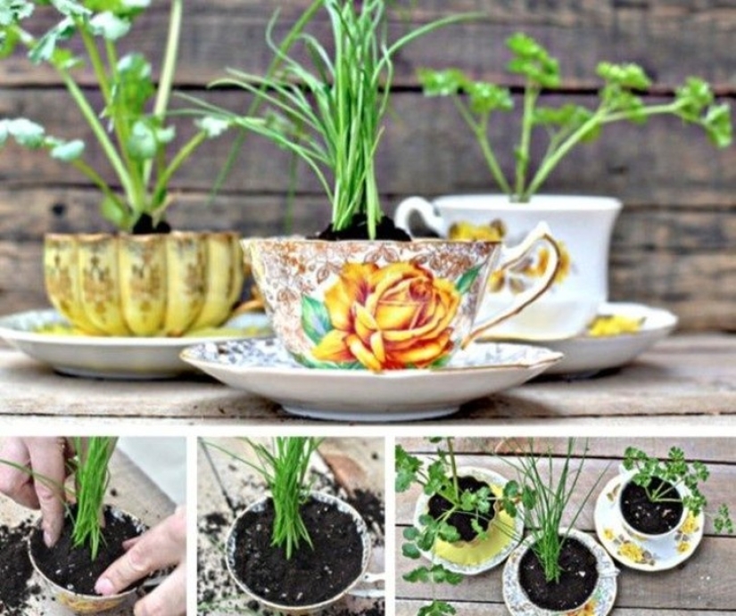 20 small gardens that fit in the palm of your hand
