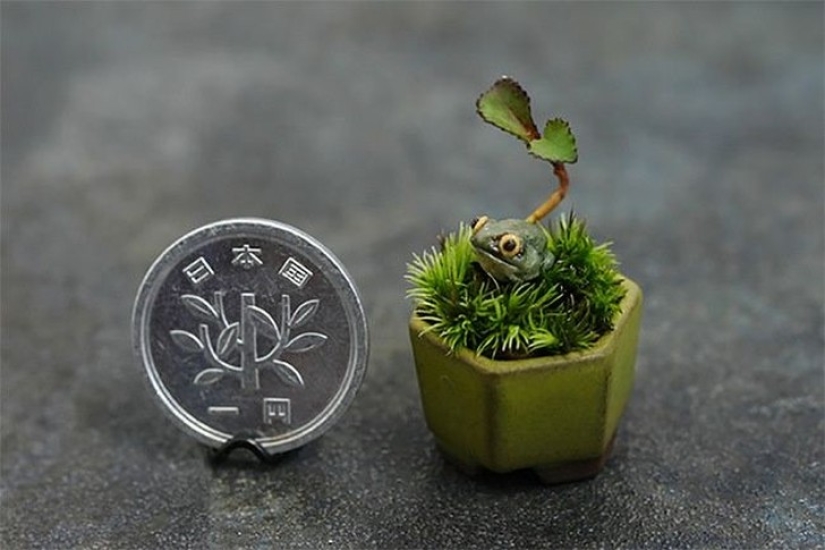 20 small gardens that fit in the palm of your hand