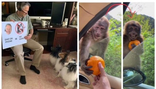 20 super-mimimish photos that will delight you