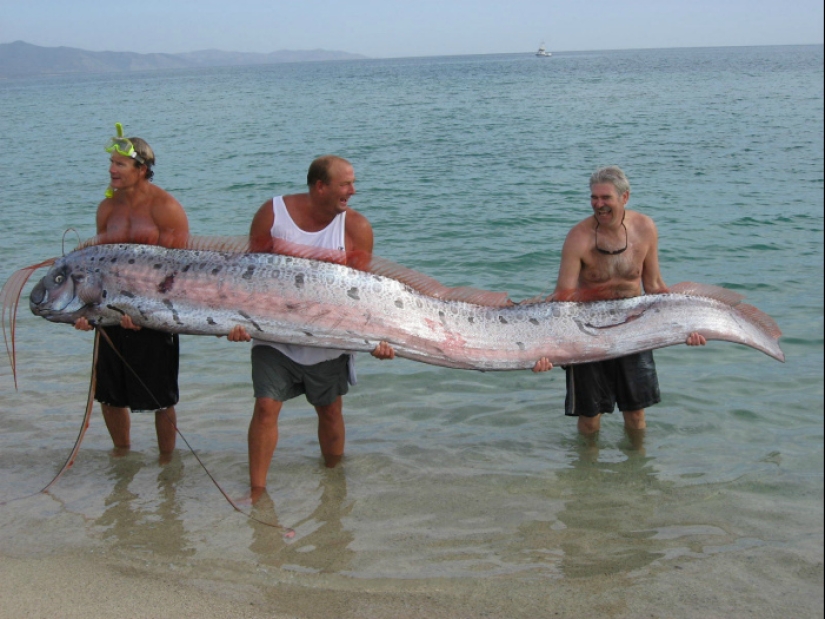 20 things that can be more than we expected 20 things that can be more than we expected