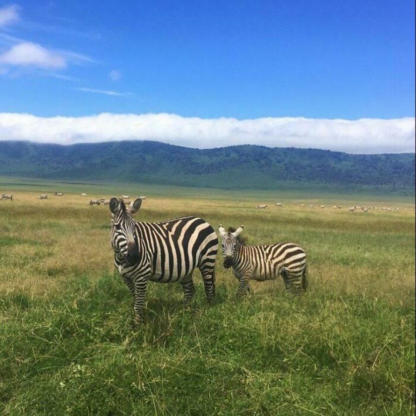 20 Times Travelers Were Shocked, Amused, Or Amazed In Other Countries