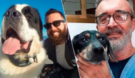 20 touching photos of dogs and their owners at the beginning of a friendship after many years 20 touching photos of dogs and their owners at the beginning of a friendship after many years