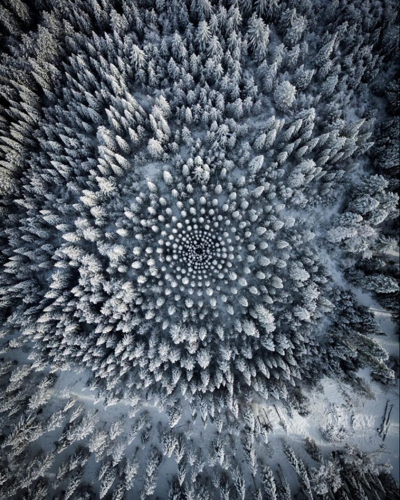 20 unusual photos that can surprise even the most sophisticated