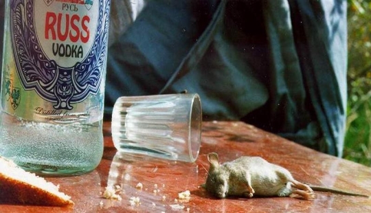 20 unusual ways to use vodka 20 unusual ways to use vodka
