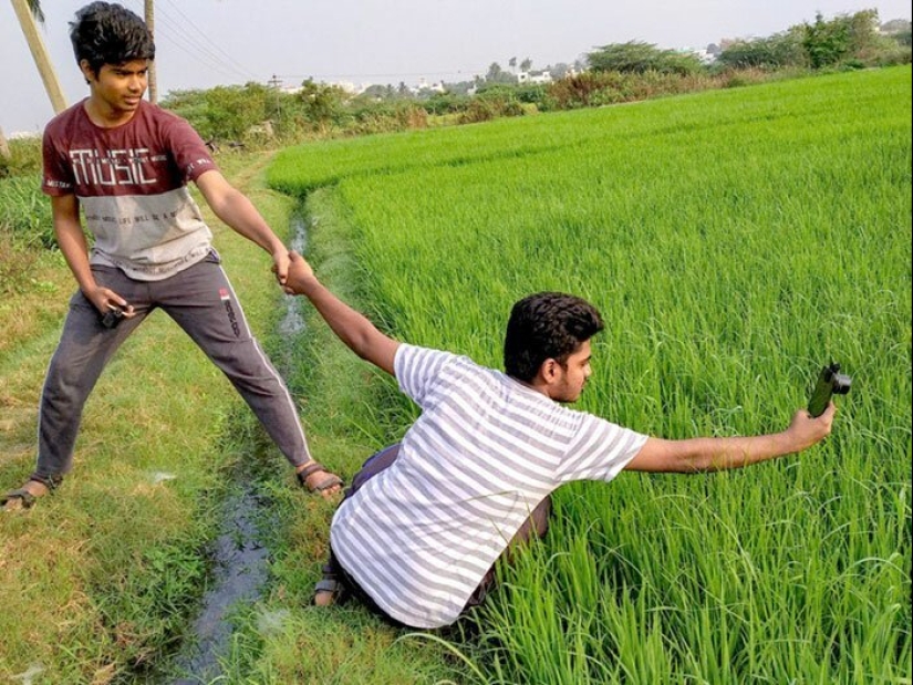 20-year-old Indian makes an incredible photo of the insect on the phone