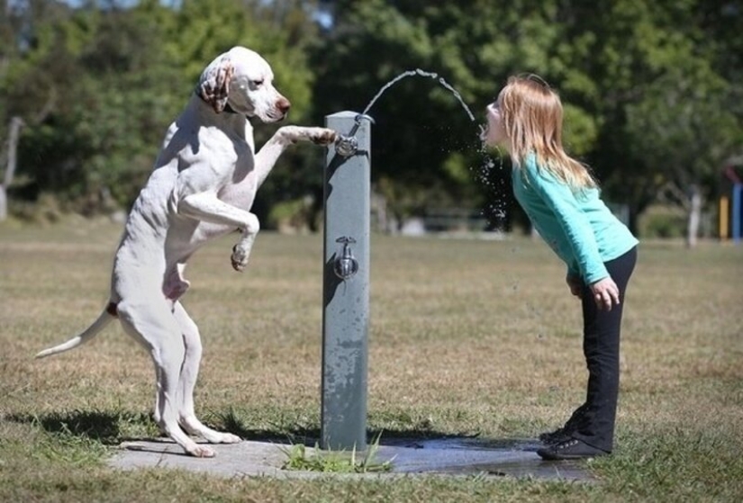 21 Cute Ways Every Kid Needs a Dog