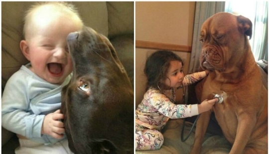 21 Cute Ways Every Kid Needs a Dog