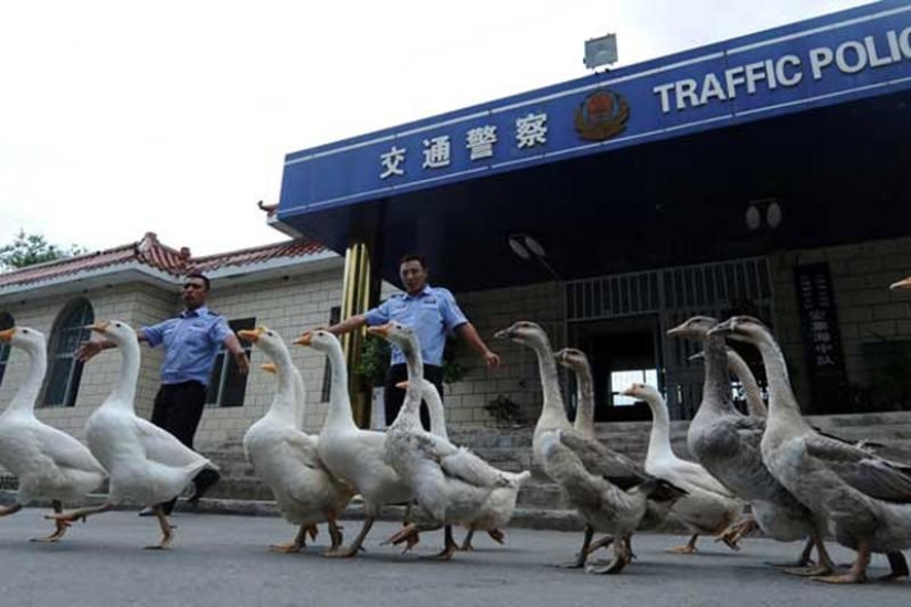 21 hechos impactantes sobre China