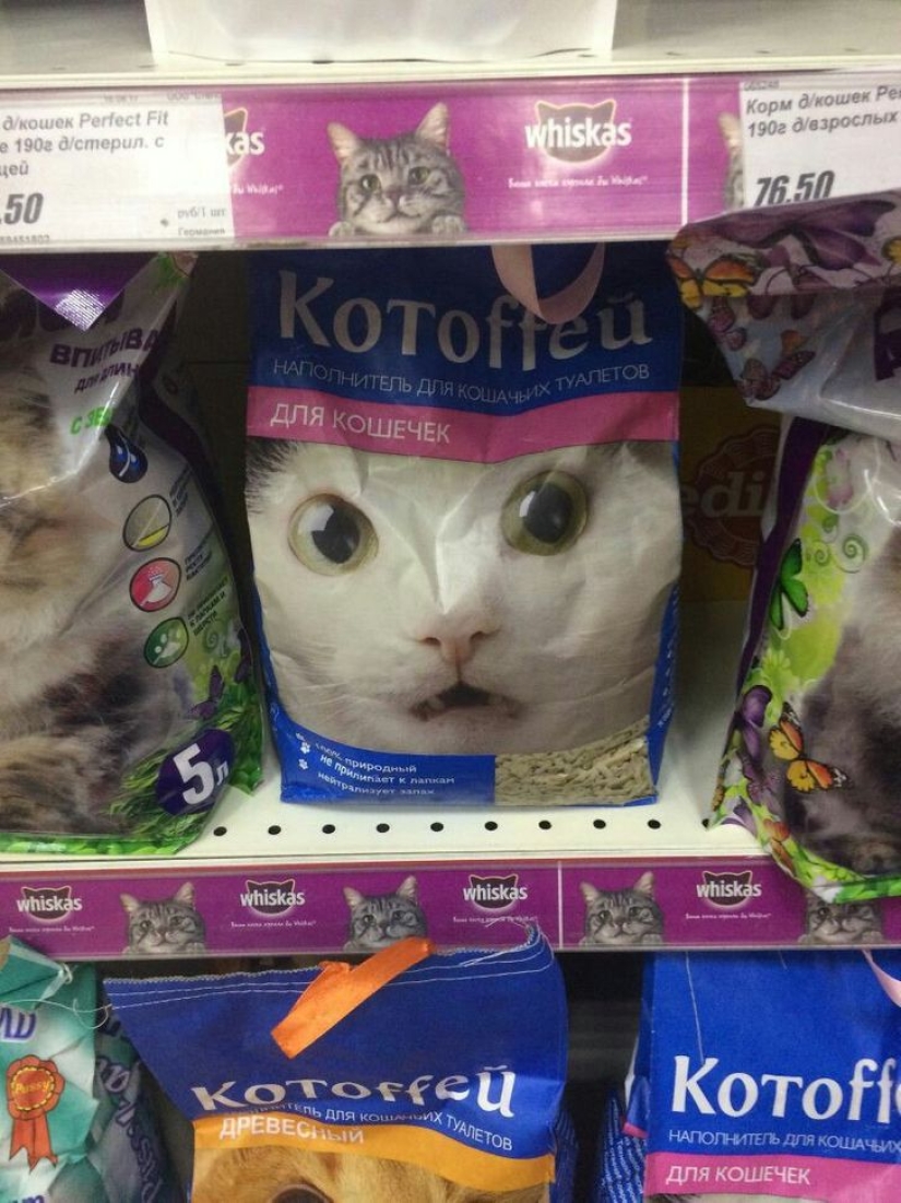 22 absolutamente idiota errores diseñadores